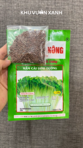 Hạt giống Rau Mầm Cải dinh dưỡng gói 20gr - Thu hoạch sau 7 ngày