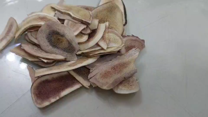 เขากวางอ่อน ของแท้ คุณภาพดี 50 กรัม สามารถนำไปตุ๋น หรือนำไปดองได้ สามารถนำไปตุ๋นเป็นซุป ตุ๋นกับเครื่องตุ๋นยาจีนอื่นๆ หรือนำไปดองได้ เขากวาง เขากวาแท้