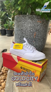 ⚡️ถูกสุด❗️รองเท้าผ้าใบรุ่นเกรดดี พื้นยางหนา 3 ชั้น ทนทาน นุ่ม ใส่สบาย⚡️โกลซิตี้ GoldCity รุ่น205S มี 3 สีให้เลือก