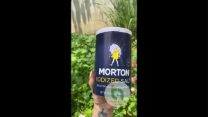 Muối I-Ốt MORTON Iodized Salt 737g 1Lb 10oz
