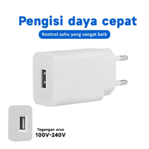 Pengisi daya kepala pengisi daya ponsel cocok untuk ponsel iphone dan Android universal PD pengisian cepat colokan pengisi daya USB 5V2A cocok untuk tablet Apple Huawei oppo Xiaomi vivo