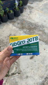Gibgro 20TB - Tablet ZAT PENGATUR TUMBUH PER 1 PCS