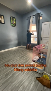 Penghilang Bau Pipis Pup Kucing: Pewangi Pasir Kucing & Odor Remover Kucing 60ml