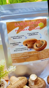 ผงเห็ดหอม เห็ดหอมผง Shiitake ขนาด100กรัม