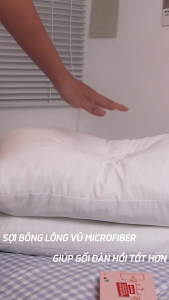 Ruột Gối Nằm LÔNG VŨ Cao Cấp Nặng 15kg Chuẩn Khách Sạn 5 Sao Microfiber Êm Ái Kháng Khuẩn Ngủ Ngon - TRÙM SỈ ADU79