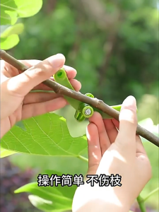 1/5pcs Adjustable Plant Branches Bender Fixator Reuseable Branch Puller Twig Fixing Clamp Bonsai Modelling Tool Garden Plastic Fruit Tree Branch Bender Tree Pressing Bending Modelling Tool Gardening Accessories