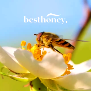 Best Honey Paket Bundling Paket Madu Madu Asli Madu Multiflora Madu Aromatic Madu Original