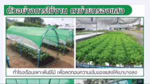 สแลนกรองแสง ทอ3เข็ม กว้าง2เมตร ยาว5เมตร หนาพิเศษ ล๊อคตา เย็บขอบข้าง กันลุ่ย ท่อแน่น เกรด A สินค้าโรงงาน