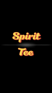 KAOS POLO T-SHIRT kaos 17 terbaru custom rt rw panitia 17
