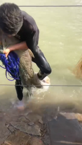Baguhang fishing throw net simpleng throw net umiikot na frisbee fishing netTaas: 180cm Haba: 360cm