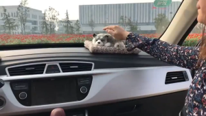 Car Perfume Decoration Stuffed Toy Bamboo Charcoal Dog Dashboard Aromatherapy High-End Pet Doll Simulation Breathing Cat Animal Lovely Plush Sleeping Cat Dog Plush Toy Doll Decor Crafts Home Car Ornaments Gift Photo Props
