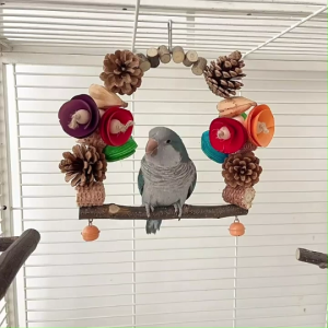 🇸🇬 Parrot Swing Toy: Decorative Chewing Pendant for Birds with Swing and Play Features