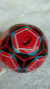 PASSPORT Bola Futsal Size 4 Produksi Sukabumi PASSPORT ROTARI