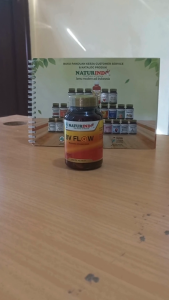Obat Tradisional Herbal Penyumbatan Darah Kesemutan Kebas Pelancar Peredaran Darah BV Flow Naturindo