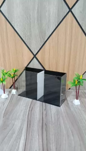 Akuarium Cupang 20x6x12 cm 2 Akuarium 2 Kamar Bahan Akrilik
