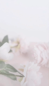 PURBASARI Minyak Zaitun Mawar 150ml