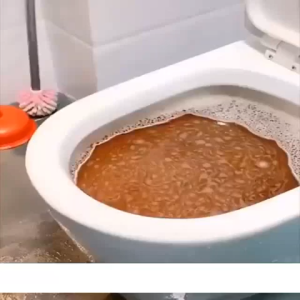 WILD TORNADO SINK AND DRAIN CLEANER Pembersih Saluran Pipa Wastafel Closet Tersumbat