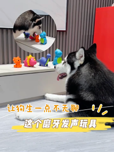 đồ chơi nhựa khủng long dành cho chó mèo - T3 PETS SHOP