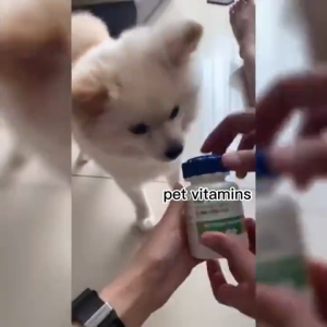 200pcs Pet Vitamin Supplement Dog Supplement Cat Supplement Multivitamin Probiotics Beauty Hair Bulu Bone Calcium Vitamin