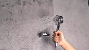 FS 3352 SET Hand Shower with 1.5m Flexible Hose and Holder