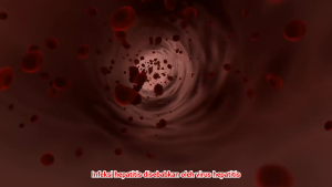 LIBAVER BHARATA HERBAL || Obat Hepatitis & Mual Muntah