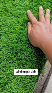 2m x 6m | Rumput Sintetis Swiss 3cm | Hijau Tebal Halus | Premium