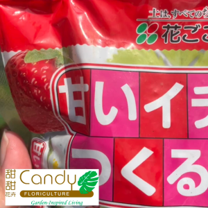 (SG Seller) Fertilizer for Strawberry 500g (Hanagokoro Japan)