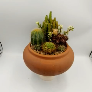 Chậu đất nung chậu sen đá - NKC 169 miệng chậu 16cm chiều cao 9cm