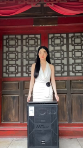 Loa Màn Hình TB3388 Bass 50cm 22 inch Công Suất 650W Kết Nối Bluetooth USB HDMI Micro Nam Châm Sạc Loa Karaoke Di Động Cao Cấp Âm Thanh Rõ Nét