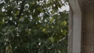 MS YOOSE Outdoor HD 1080p Wi-Fi Wireless IP CCTV Camera Weatherproof Night Vision Video