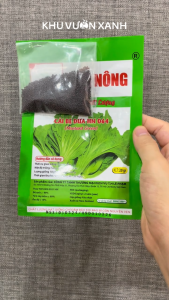 Hạt giống rau Cải Bẹ dưa (Cải Sậy Cải Sen Cải làm Dưa chua) gói 20gr trồng quanh năm