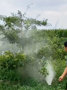 POMPA SEMPROT PERTANIAN 100PSI DINAMO SPRAYER ELEKTRIK SEMPROT PERTANIAN