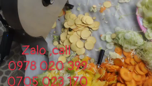 Máy cắt lát nghệ  gừng