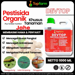Obat Untuk Tanaman Jahe