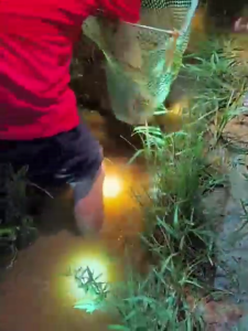 RXC ไฟฉายคาดหัว แท้ แรงสูงไฟฉายคาดหัวแท้LEDกันน้ำ 99999999W ไฟคาดหัวแรงสูง แบตเตอรี่ลิเธียม ส่องไกล ไฟส่องกบ ส่องแสงระยะ10KM TGX-668