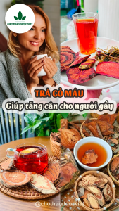 Trà cỏ máu thảo mộc set mix sẵn đủ vị thơm ngon dễ uống - Chợ Thảo Dược Việt