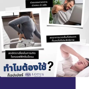 LOTUS ที่นอนยางพาราพับเก็บได้ Latex made in Belgium ส่งฟรี