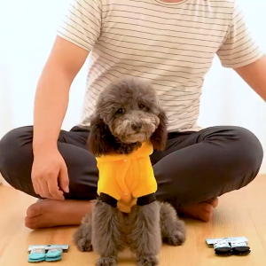 4Pcs Socks Dog Socks Puppy Cat Socks Soft Breathable Anti-Slip Socks Paw Protector