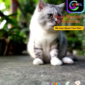 Parfum FELLOW 30ml Kucing Anjing Premium Bulu Wangi Segar Sepanjang Hari