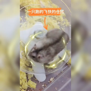 AEIOU😺 Roda UFO Hamster Sugar Glider 18cm Flying Saucer Wheel Plastic Silent Running Wheel Spinner Toys Accessories 仓鼠跑轮