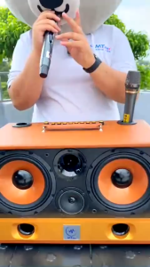 [ Loa Cao Cấp Giá Rẻ ] Loa Xách Tay Chính Hãng MTMax DK07 - Loa Karaoke Cao Cấp Công Suất Lớn 300W 2 Bass Trầm 20CM Công Nghệ Bass Boots Kèm 2 Micro Không Dây Giá Tốt Bảo Hành 12 Tháng