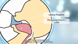 Pentil Dot HUKI Gepeng Size S M L Nipple HUKI Gepeng Orthodontic murah terbaru promo