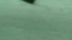 Bosh Sayap Depan Bawah Nissan Terrano