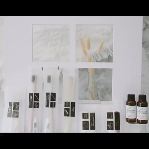 Disposable Toothbrush W/ Toothpaste Hotel Clean Kit Travel Dental Kit (With Toothpaste)