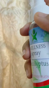 สเปรย์ยูคาลิปตัส 120 มล ปรับกลิ่นจากธรรมชาติ ปรับอากาศ ให้หอม สดชื่น ลด หวัดคัดจมูก ภูมิแพ้ ตึงเครียด เมื่อยหล้า ห้องนอน ห้องนั่งเล่น ห้องน้ำ ใช้ได้ทุกเมื่อที่ต้องการ
