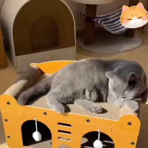 【Pet Plan 】🔥พร้อมส่งจากไทย 🔥   บ้านแมวกระดาษ เตียงแมว ที่ลับเล็บแมว อเนกประสงค์ ที่ฝนเล็บแมว แบบกล่องบ้านของน้องแมวขนาดใหญ่สามารถรองรับแมวได้ 3-4 ตัว