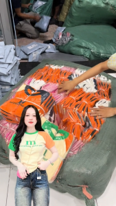 Áo Thun Nữ Form Ôm Gọn Dáng 35~55kg (B53 EveryThing) Phối Màu Xu Hướng Cotton Mềm Co Giãn Không Bó Sát