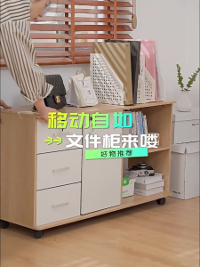 File Cabinet With Pulley Cabinet Office With Lock Cabinet Modern Moving Storage Cabinet With Door