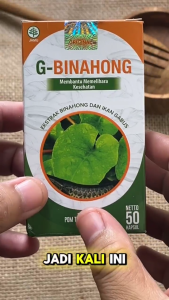 G-Binahong Kapsul Ekstrak Ikan Gabus Kutuk Albumin Obat Herbal Keringkan Luka Diabetes Dan Luka Pasca Oprasi