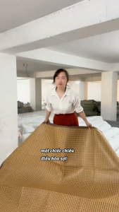 Chiếu Điều Hoà Sợi Mây Lót Lụa - Chiếu Cao Cấp Chiếu Lụa Mây Có Chun Cài Góc Hàng Loại 1